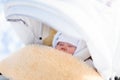 Newborn baby boy sleeping in stroller in winter Royalty Free Stock Photo