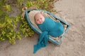 Newborn Baby Boy Sleeping in a Tiny Boat Royalty Free Stock Photo