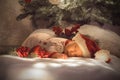 Newborn Baby Boy Sleeping Under Christmas Tree Near Lot Of Decorations. Wearing SantaÂ´s Hat