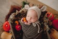 Newborn boy studio portrait