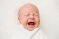 Newborn baby boy on a white background. Baby is crying Royalty Free Stock Photo