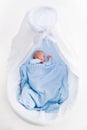 Newborn baby boy in white bassinet Royalty Free Stock Photo