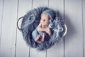 Newborn baby boy wrapped in blue wrap on gray furry blanket in white basket with knitted toy in hand and with blue woolen cap Royalty Free Stock Photo