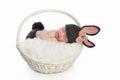 Newborn Baby in Bunny Rabbit Costume Royalty Free Stock Photo