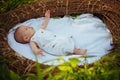 Newborn baby care. Motor activity of newborn baby. Outdoor activity of newborn child. Cheerfulness and health. Boost the