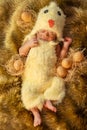 Newborn baby in chicken costume sleeping on fur bed Royalty Free Stock Photo