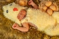 Newborn baby in chicken costume sleeping on fur bed Royalty Free Stock Photo