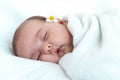 Newborn baby close-up. Side view of a chubby plump infant baby sleeping soundly on his back with chamomile behind the