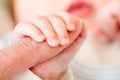 Newborn baby, closeup of fingers of fingers on hand of mother Royalty Free Stock Photo