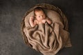 A newborn baby covered with a warm knitted blanket in a wicker basket Royalty Free Stock Photo