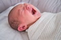 A newborn baby is crying swaddled on the bed. Child is a boy in a cocoon on a cot