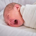 A newborn baby is crying swaddled on the bed. Child is a boy in a cocoon on a cot Royalty Free Stock Photo