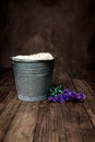 Newborn Baby Digital Background Rustic vintage bucket Royalty Free Stock Photo