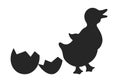 Newborn baby duckling vector cartoon