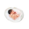 Newborn baby in the egg. Fetus, embryo, IVF concept. Royalty Free Stock Photo