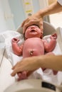 A newborn baby is examinate in hospital just after childbirth. Length measurement. Royalty Free Stock Photo