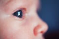 Newborn baby eye closeup Royalty Free Stock Photo
