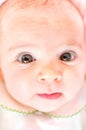 Newborn baby face big eyes soft skin closeup Royalty Free Stock Photo