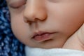 Newborn - baby, face close-up. The sleeping Newborn boy under a white knitted blanket lies on the blue fur. Royalty Free Stock Photo