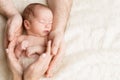 Newborn Baby in Family Hands, Sleeping New Born Kid, Parents Care Royalty Free Stock Photo