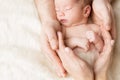 Newborn Baby in Family Hands, Sleeping New Born Kid, Parents Care and Protection Concept Royalty Free Stock Photo