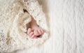 Newborn Baby Feet. Newborn Child. Baby Legs In Knitted Blanket. Beige Background