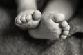 Newborn baby feet. Baby feet closeup