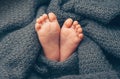 Newborn baby feet covered in grey knitted blanket Royalty Free Stock Photo