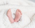 Newborn baby feet covered in plush lining blanket Royalty Free Stock Photo