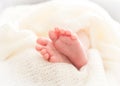 Newborn baby feet Royalty Free Stock Photo