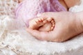 Newborn baby feet in father hands. Father holding legs of the kid in hands. Close up image.  Beautiful conceptual image of Royalty Free Stock Photo