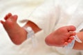 Newborn baby feet Royalty Free Stock Photo