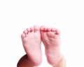 Newborn baby feet Royalty Free Stock Photo
