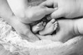 Newborn baby feet in mother and father hands. Parents holding legs of the kid in hands. Close up image.  Beautiful conceptual Royalty Free Stock Photo