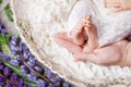 Newborn baby feet in mother hands. Mother holding legs of the kid in hands. Close up image. Happy family concept Royalty Free Stock Photo