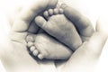 Newborn baby feet in mother hands symbolize care and parent love in black and white color Royalty Free Stock Photo