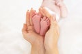 Newborn baby feet in mother's hands. Selective focus. Royalty Free Stock Photo