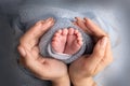 The palms of the father, the mother are holding the foot of the newborn baby. Feet of baby on the palms of the parents. Royalty Free Stock Photo