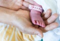 Newborn baby feet into mothers hands. Royalty Free Stock Photo