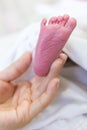 Newborn baby feet into mothers hands. Royalty Free Stock Photo