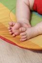 Newborn baby feet on a rainbow background