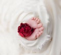 Newborn baby feet in white cloth wrapped in heart, baby life Royalty Free Stock Photo