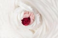 Newborn baby feet in white cloth wrapped in heart, baby life Royalty Free Stock Photo