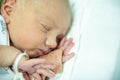 A newborn baby on the first day of its birth in the maternity hospital Royalty Free Stock Photo