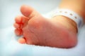 newborn baby foot