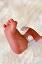 Newborn baby foot Royalty Free Stock Photo