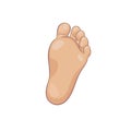 Newborn baby foot sole, bottom view. Tiny plump foot with cute heel and toes. Realistic caucasian skin colours. Vector Royalty Free Stock Photo