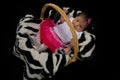 Newborn Baby girl in a basket Royalty Free Stock Photo