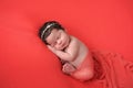 Newborn Baby Girl on a Coral Colored Background Royalty Free Stock Photo