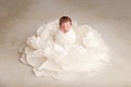 Newborn baby girl - 12 days old Royalty Free Stock Photo